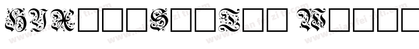 HYXiaoShiTou W字体转换